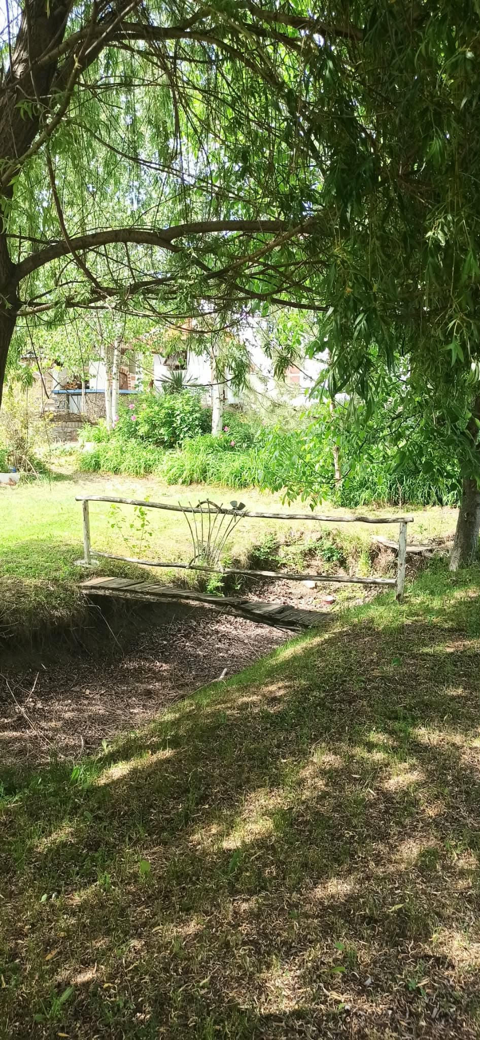 Preobražaj vrta - Vrt je bio zelen i lep, ali potpuno podivljao. Ovde možete videti staro jezerce za ribe koje se osušilo kroz godine, sa drvenim mostićem koji se već rušio. 1